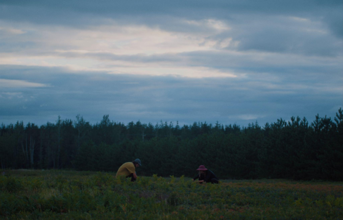 Film de clôture des RIDM : LES BLUES DU BLEUET de Andrés Livov et dévoilement de la bande-annonce
