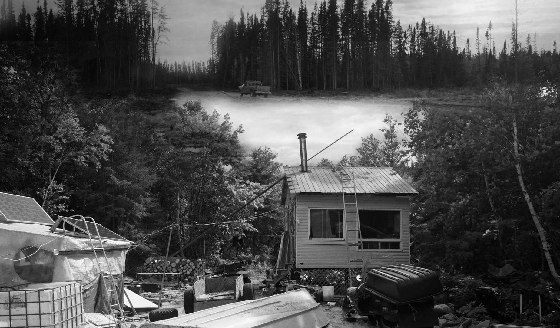 Dévoilement de la bande-annonce du film DES CHATS SAUVAGES de Steve Patry au cinéma dès le 19 septembre 2025