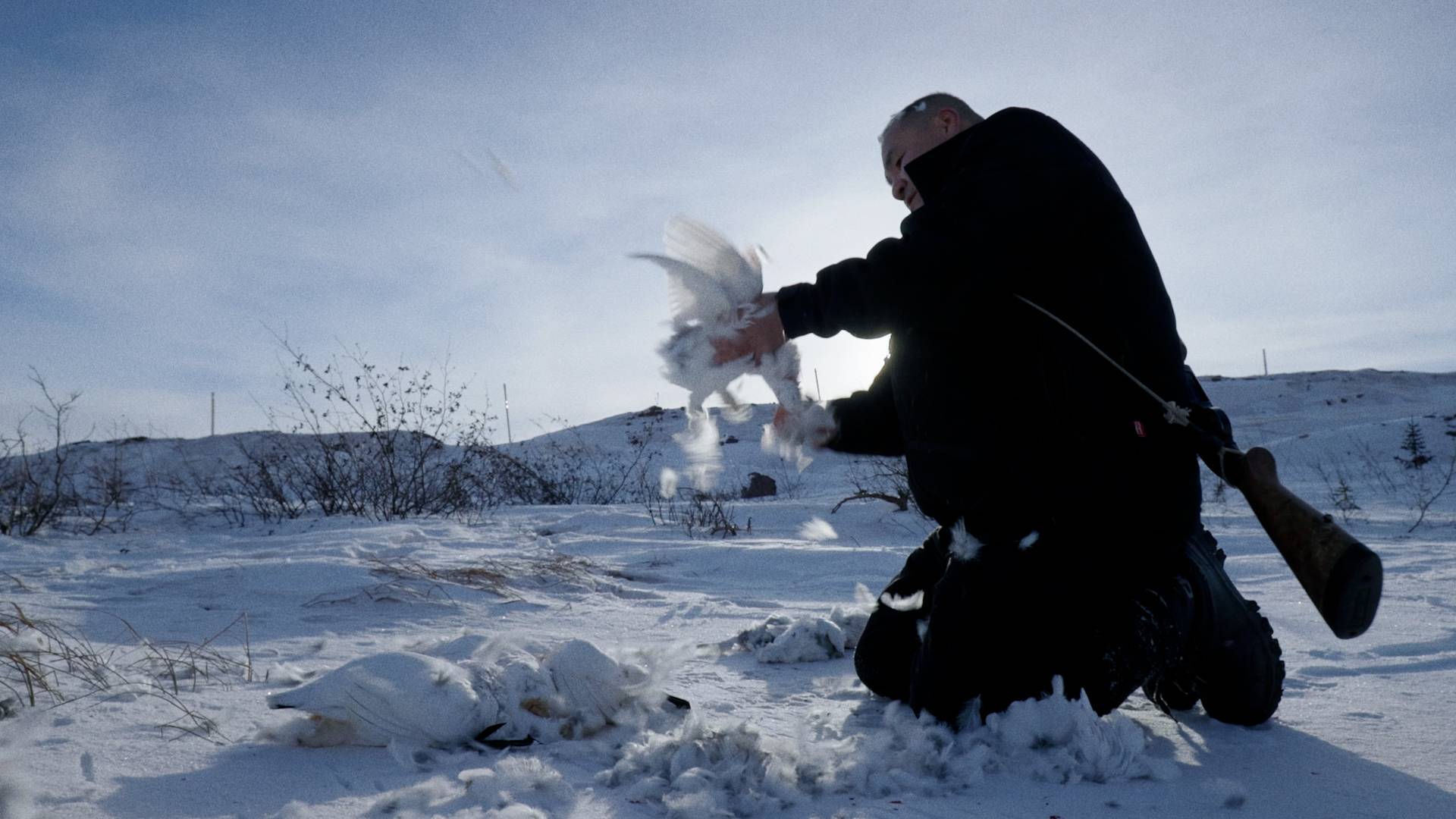 MATIMEKUSH de Guillaume Sylvestre à l’affiche le 2 mai 2025